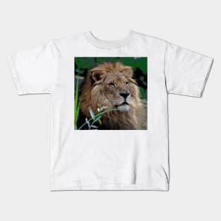 Lion20150804 Kids T-Shirt